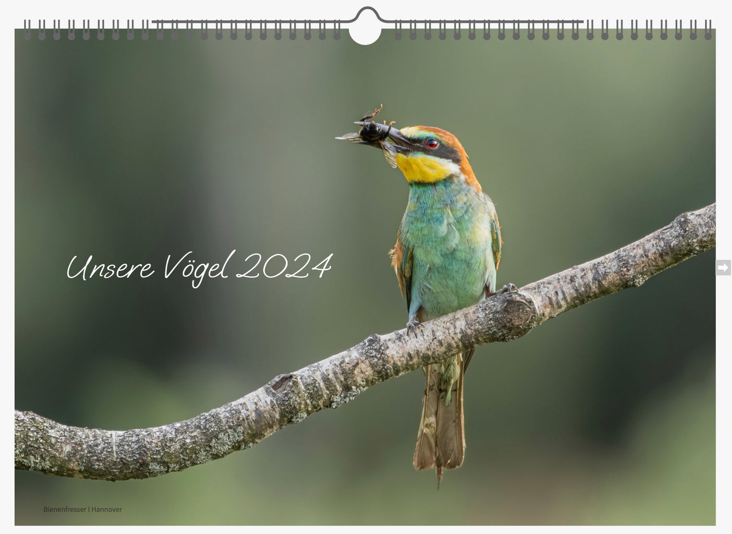 Fotokalender „Unsere Vögel 2024"