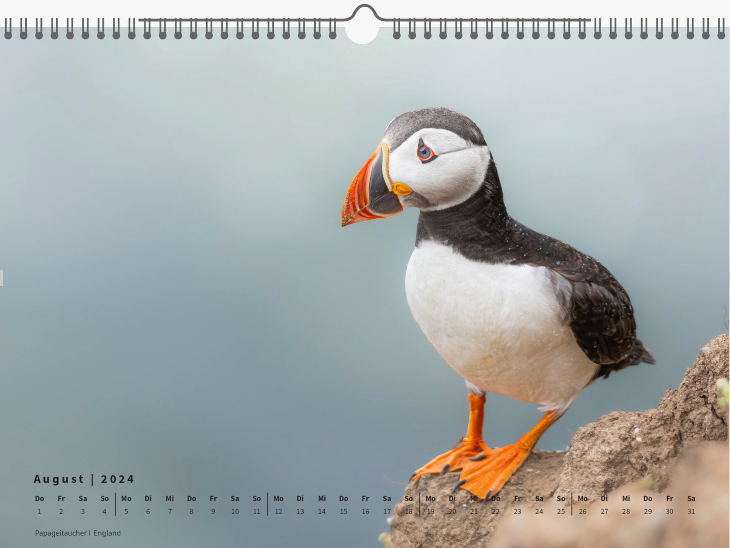 Fotokalender „Unsere Vögel 2024"