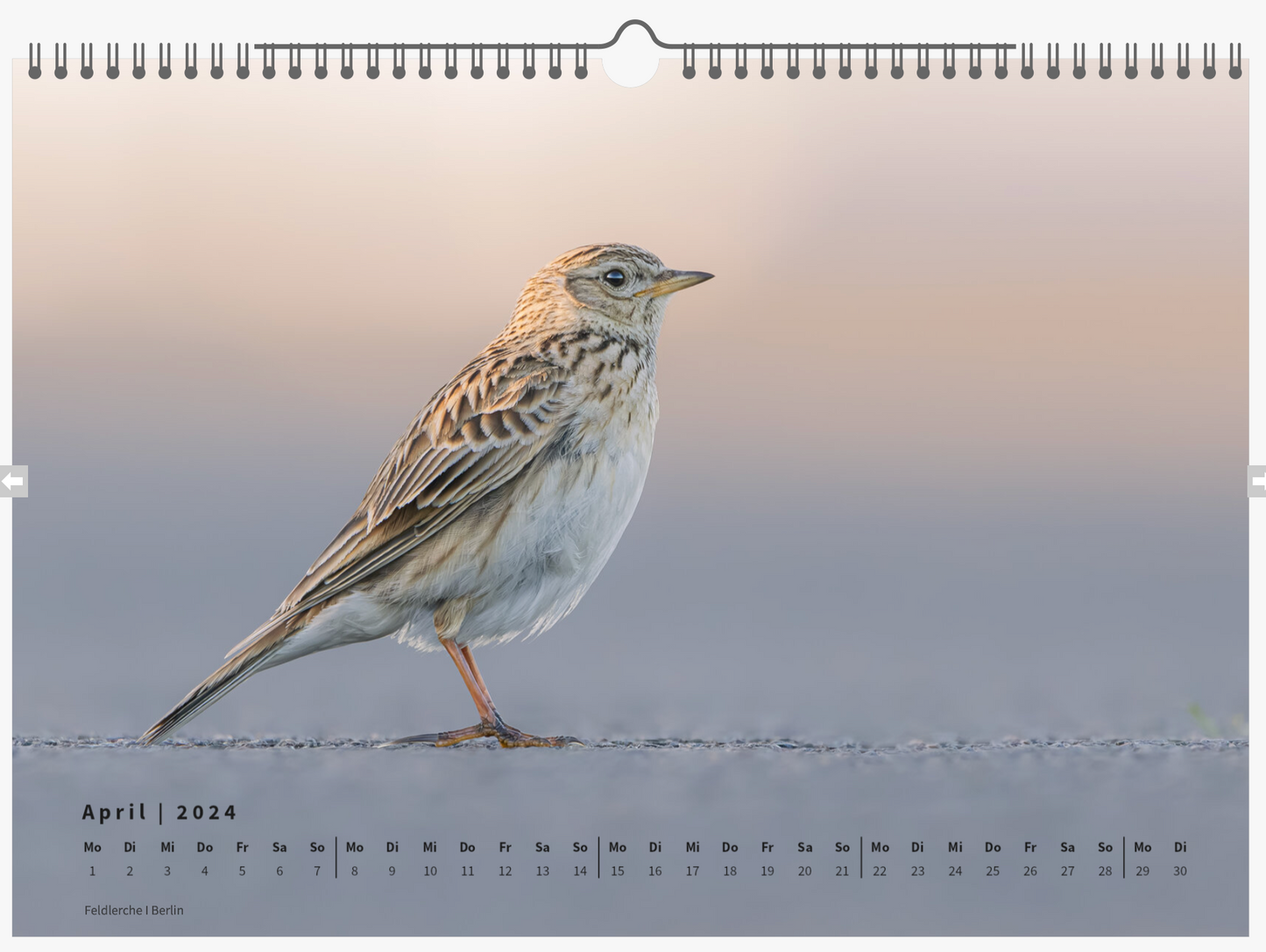 Fotokalender „Unsere Vögel 2024"