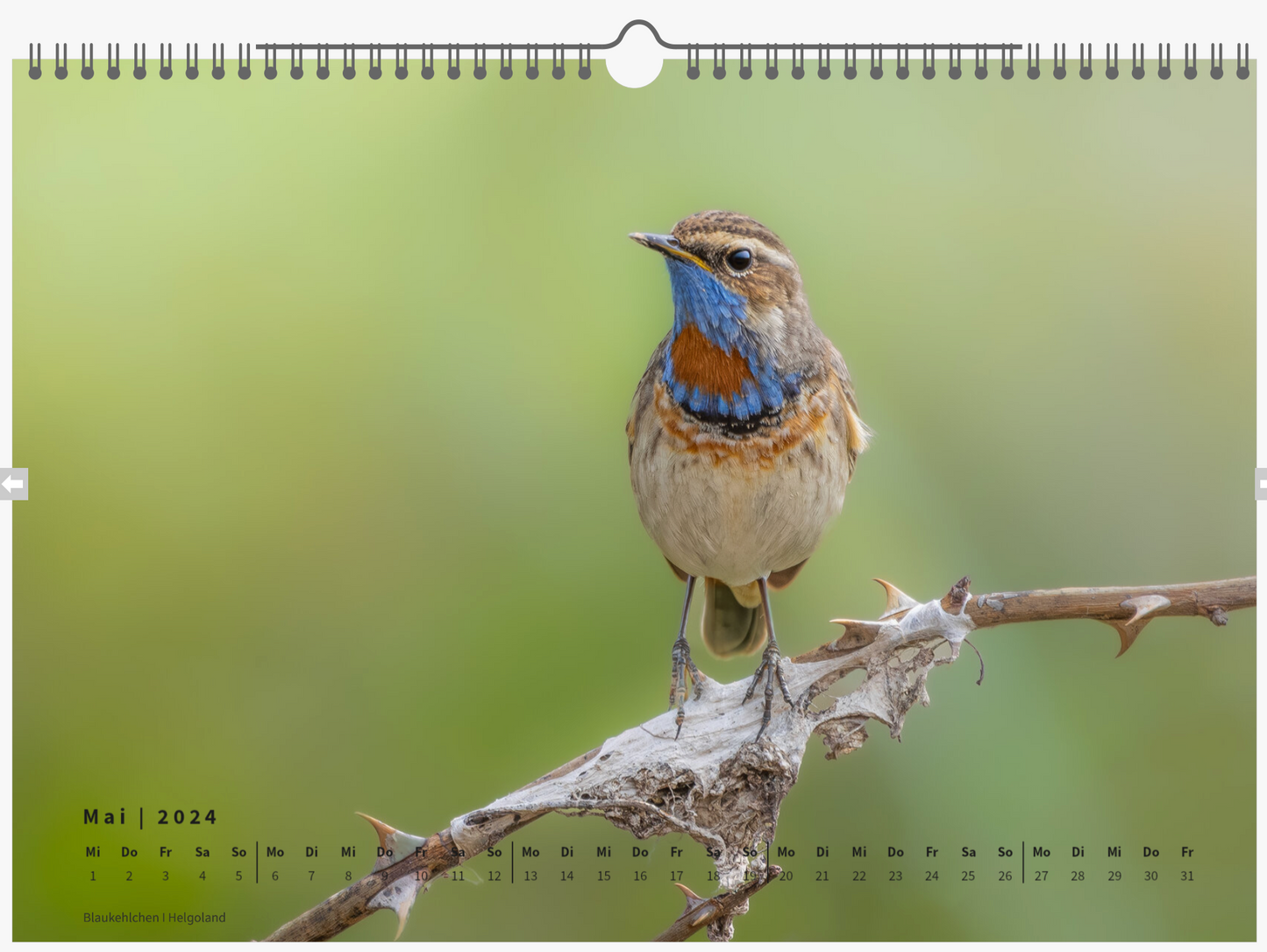 Fotokalender „Unsere Vögel 2024"