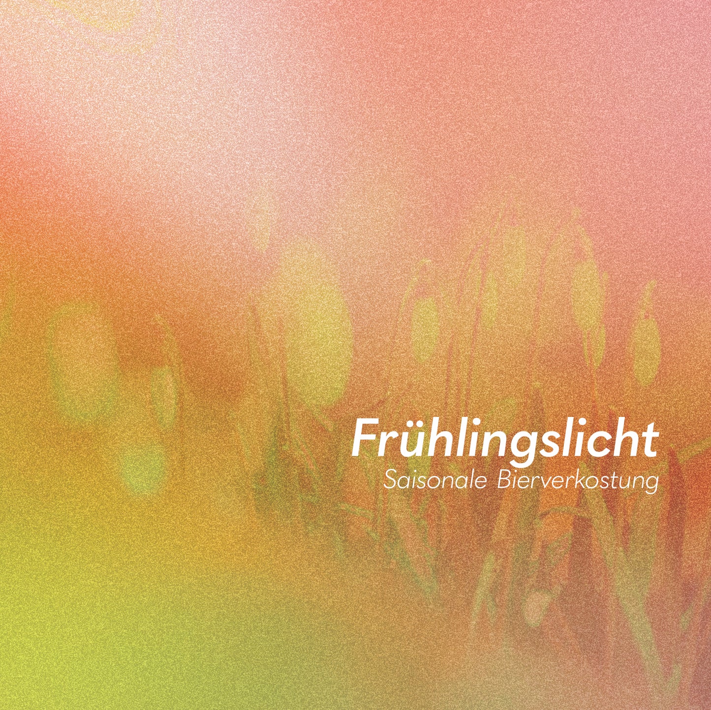 Tasting: Frühlingslicht am 15.03.2026