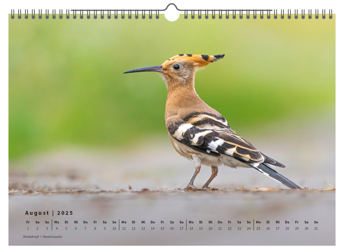 Fotokalender „Unsere Vögel 2025“