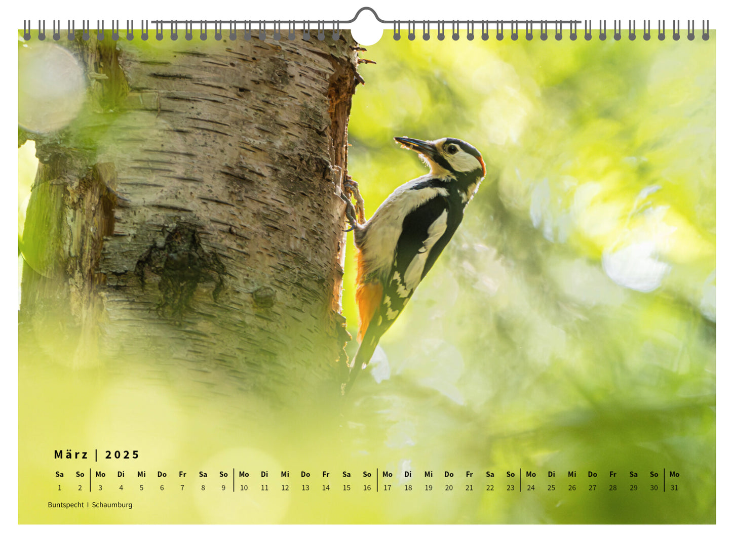 Fotokalender „Unsere Vögel 2025“