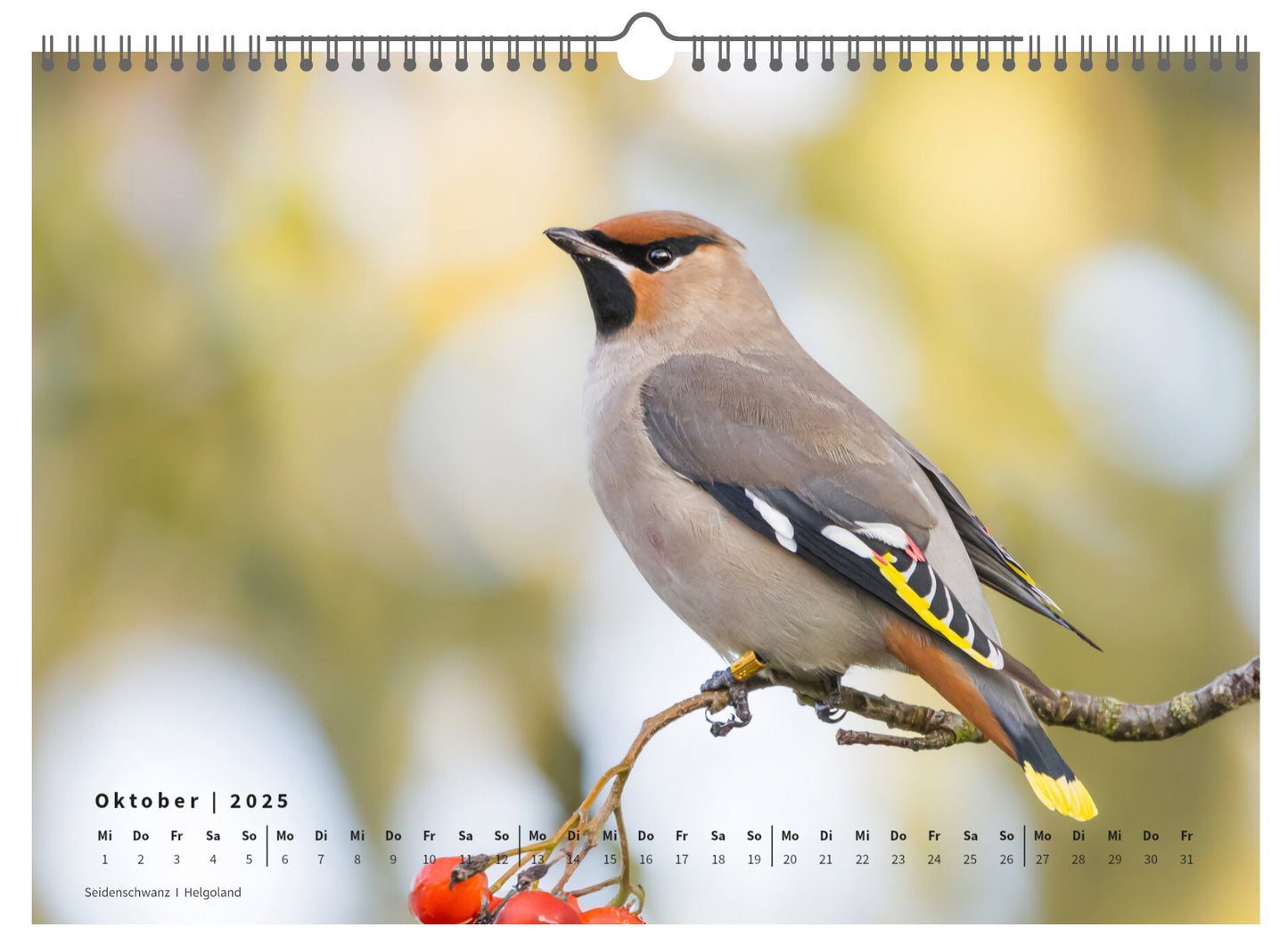 Fotokalender „Unsere Vögel 2025“