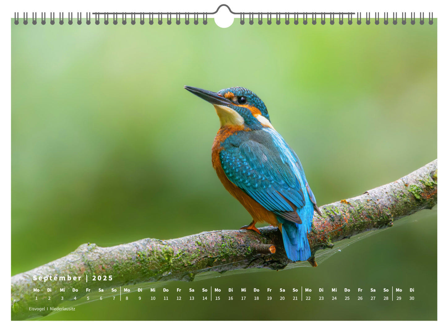 Fotokalender „Unsere Vögel 2025“