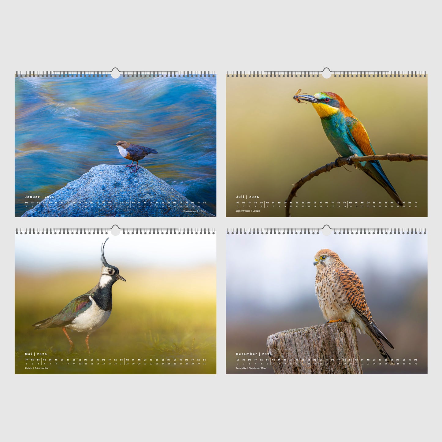 Fotokalender „Unsere Vögel 2026“