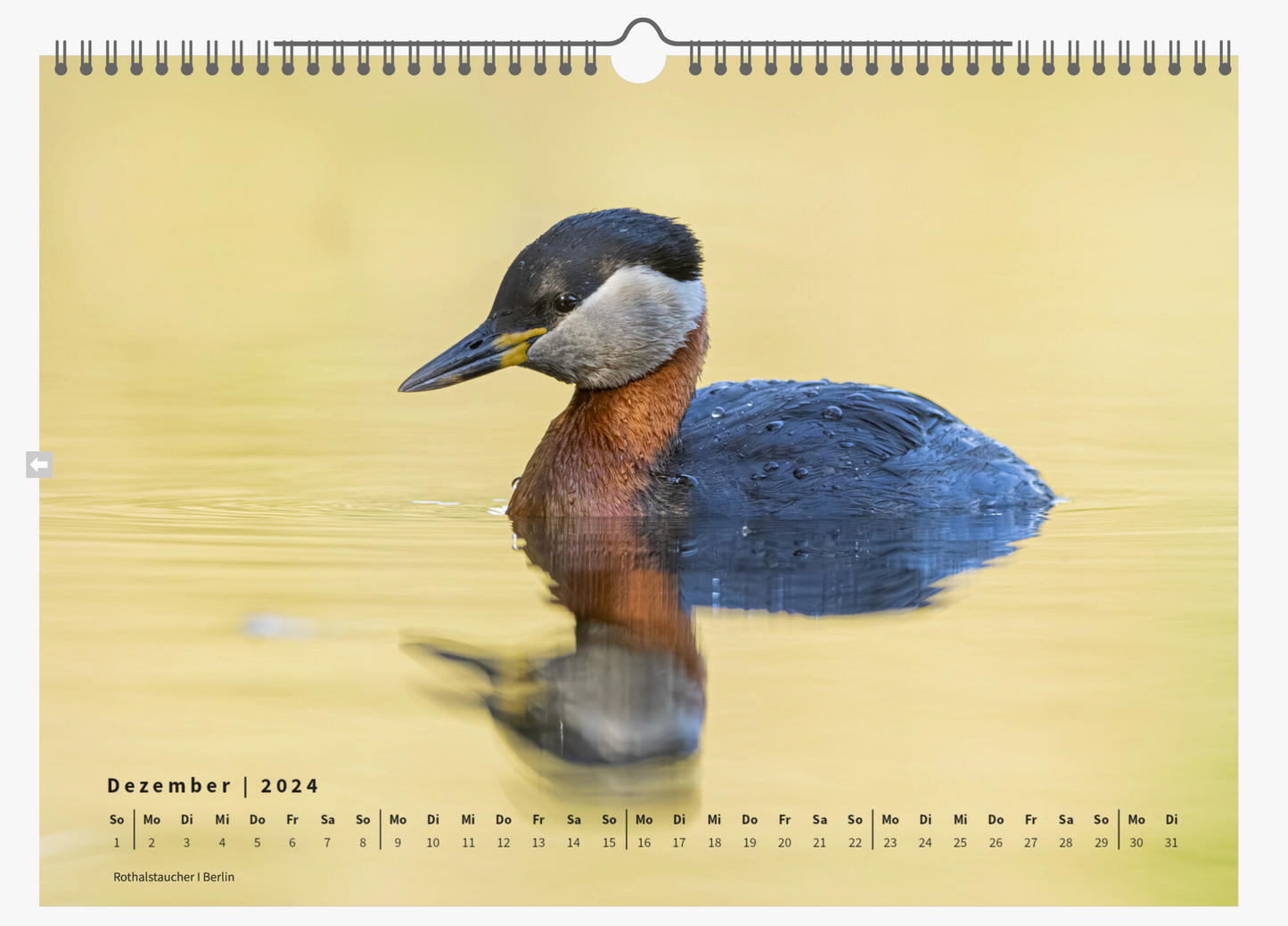 Fotokalender „Unsere Vögel 2024"