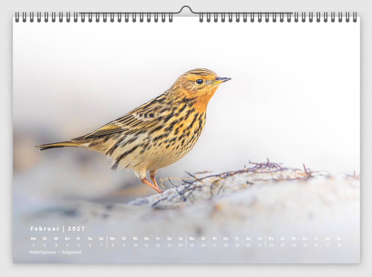 Fotokalender „Unsere Vögel 2027“