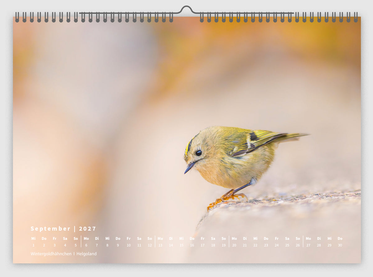 Fotokalender „Unsere Vögel 2027“