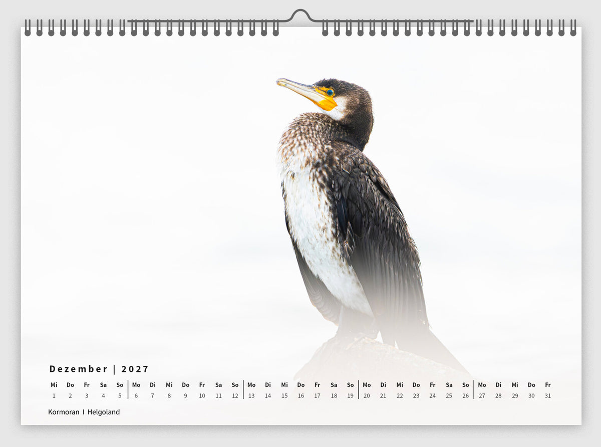 Fotokalender „Unsere Vögel 2027“