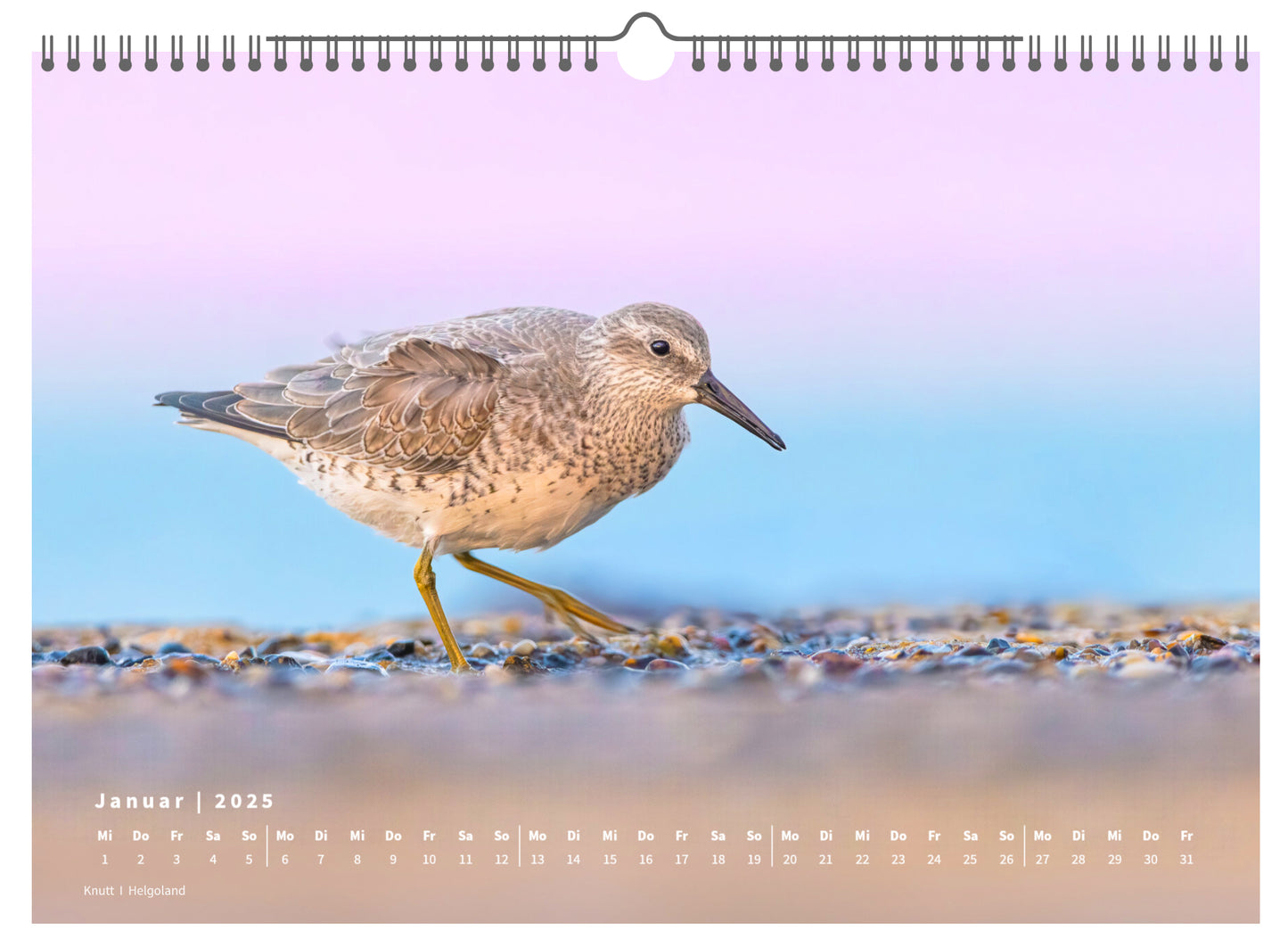 Fotokalender „Unsere Vögel 2025“