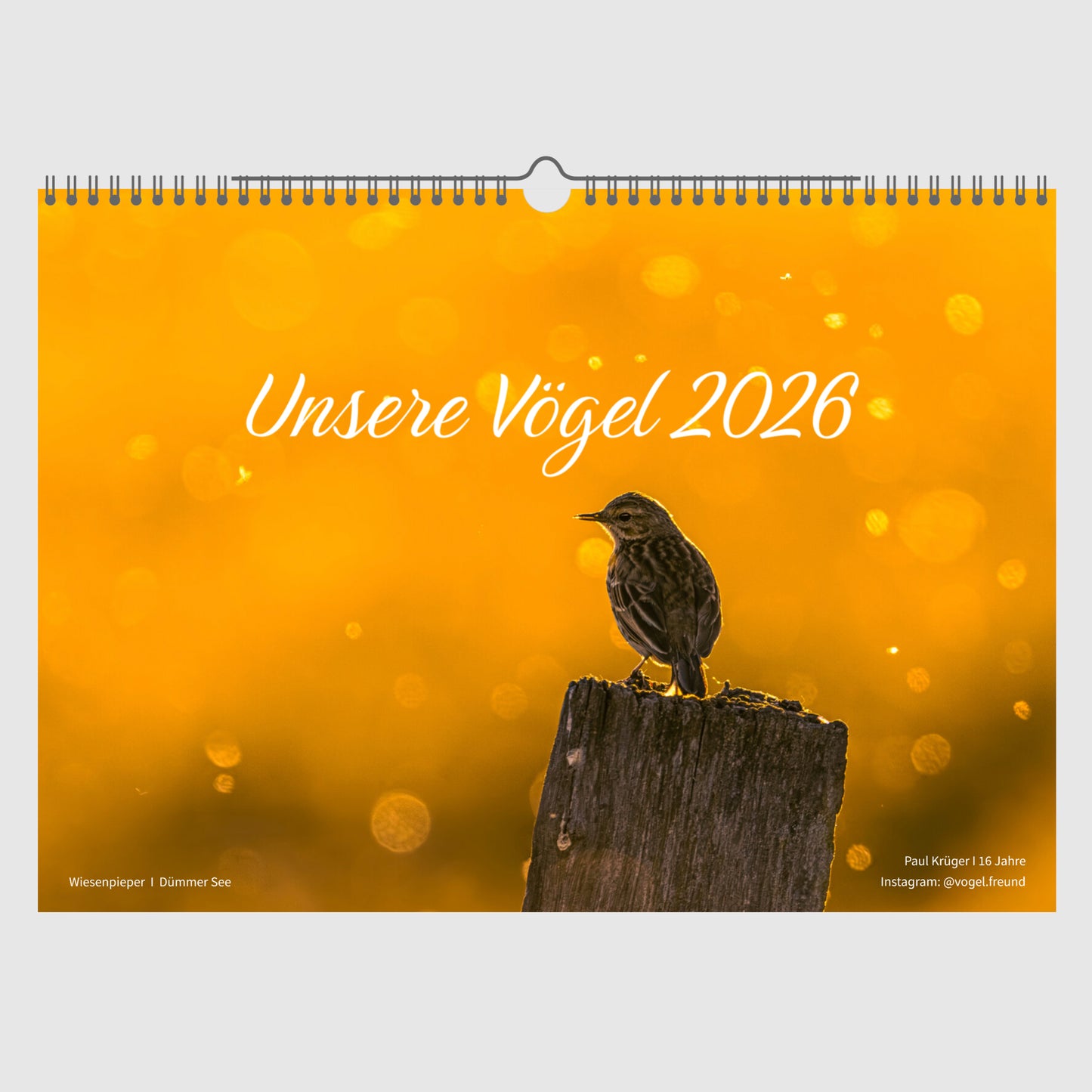Fotokalender „Unsere Vögel 2026“
