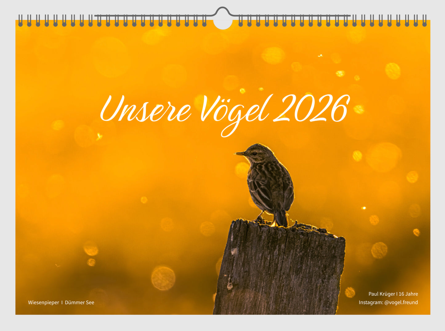 Fotokalender „Unsere Vögel 2026“ *NEU*