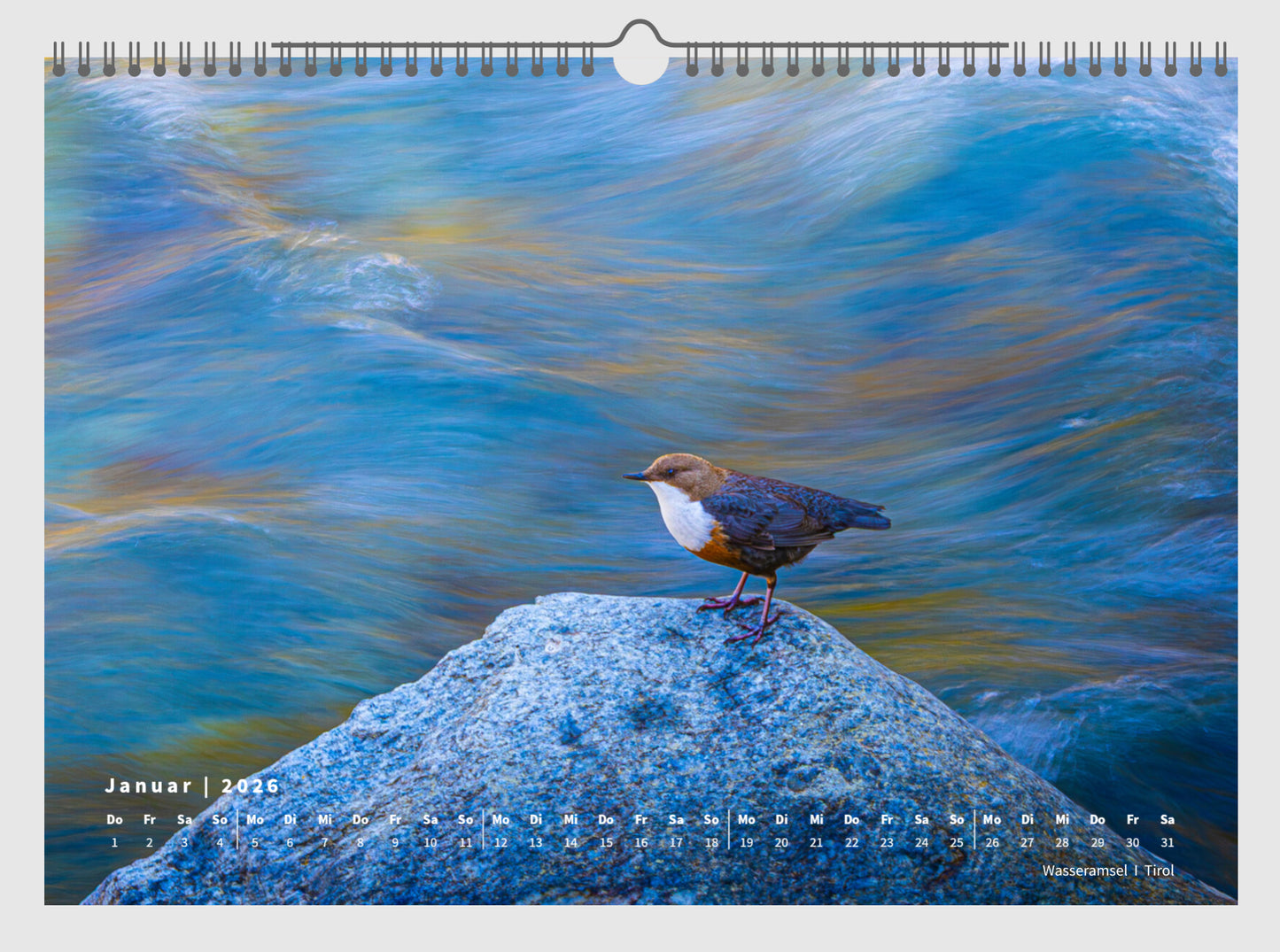 Fotokalender „Unsere Vögel 2026“ *NEU*