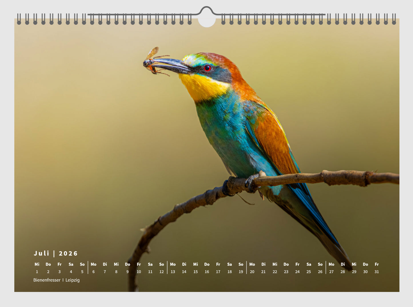 Fotokalender „Unsere Vögel 2026“ *NEU*